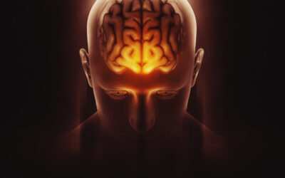 La Innovación en Fisioterapia con Fotobiomodulación Cerebral